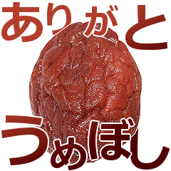 Pickled plums is umeboshi