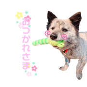 anono_20200409015653