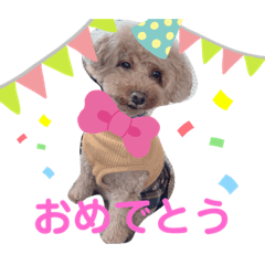 cocoa_20200407215143