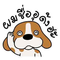 Udon The Cute Beagle