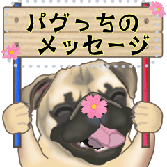 Pug dog message sticker