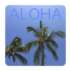 ALOHA_20200409152833