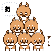 shiba-dog massage sticker