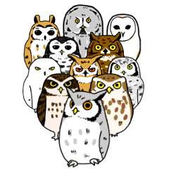 ゆかいなフクロウのスタンプ Line スタンプ Line Store ゆかいなフクロウのスタンプ Line スタンプ Line Store