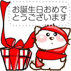 Fluffy white kitten4(Message)