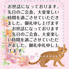 100 characters! Cat Japanese pattern