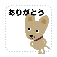 犬のコロン 2