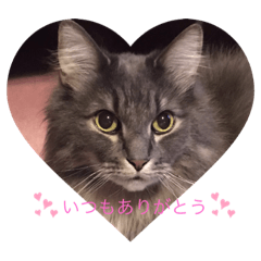 mimi_20200409190801
