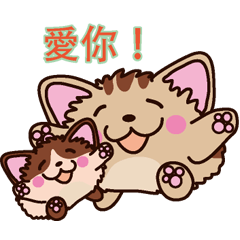 Round cat Fan&Moo Chinese version