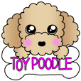 The Toy Poodle stickers