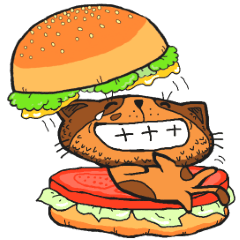 Gato de hambúrguer