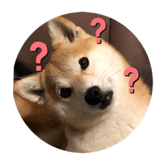 TOMOMI_20200409211808