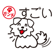 The name is Ganchi. Please be cute. 1