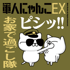 "OUCHIDE"name/Movie Military cat