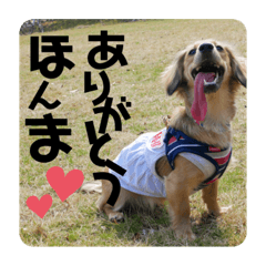 aoi_20200409224656