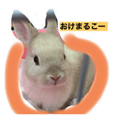 rina_20200410031558