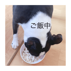 miyabi_20200409215303