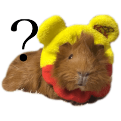 moca's friend_20200410005703