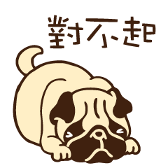 Pug to apologize(Chinese)