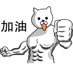 Muscle white cat Chinese version