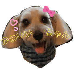 asako_20200410093415