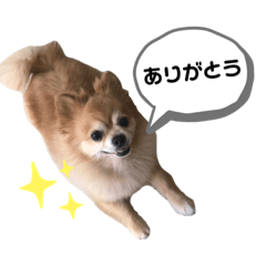 yun_pop0102