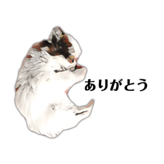 mixed puppy stickers