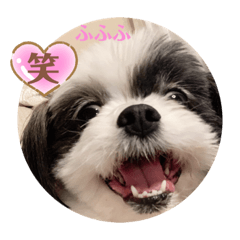 chiitan_20200410173129