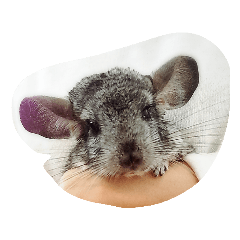 ASAKO_20200410191221