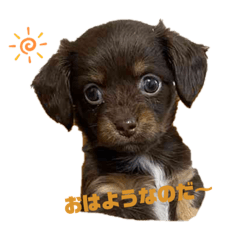 Kazuki_20200410181720