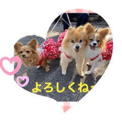 yukari_20200407231658