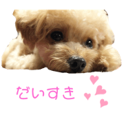hoMikaN_