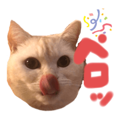 risa_20200410