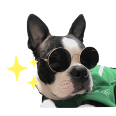 haruna_20200410212310