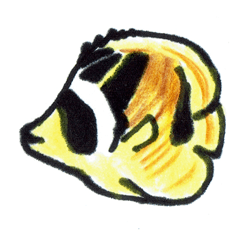 Sticker of Chaetodon