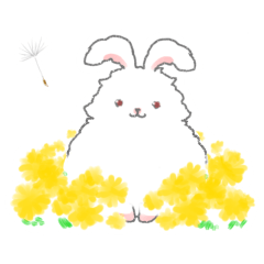 Angora rabbit of the forest of healing