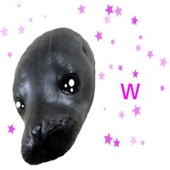 Greetings of cute seals