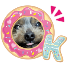 yukari_20200411021037