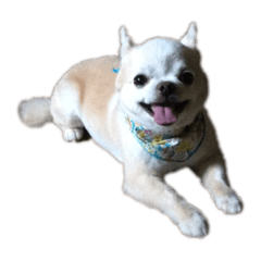 mame_chan