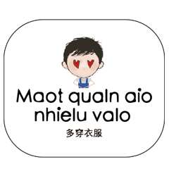 Vietnam Vietnamese and Chinese 20