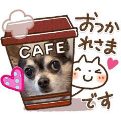 cocoa_20200411103528