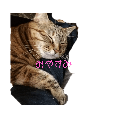 Akiko_20200411112907