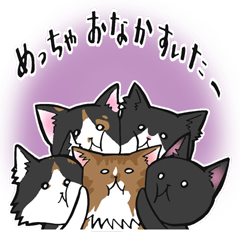 KANSAI- dialect CATS