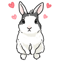 Lovely rabbit LEON