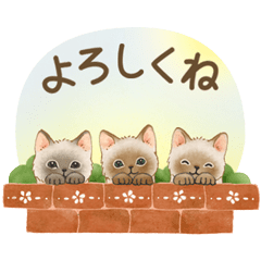 [Moving] Cat sticker (Japanese message)