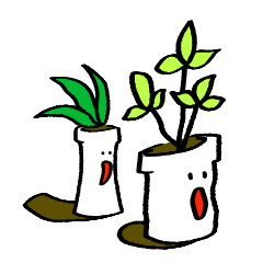 植物と植木ばち