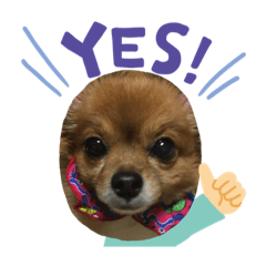 kazumi_20200411124947