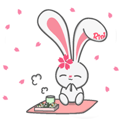 Rini Sakura Rabbit