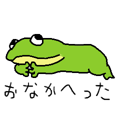 Tapi-chan The Budgett's Frog