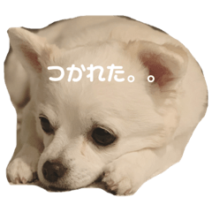 yun_20200407230757